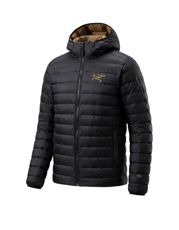 Arc'teryx lightweight trendy black down jacket