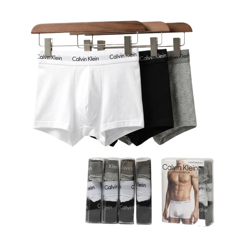 Calvin Klein minimalist style underwear (white)