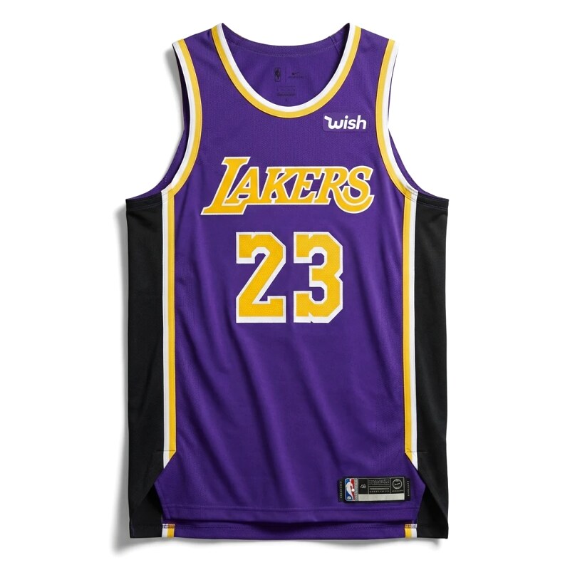LBJ Lakers retro purple jersey