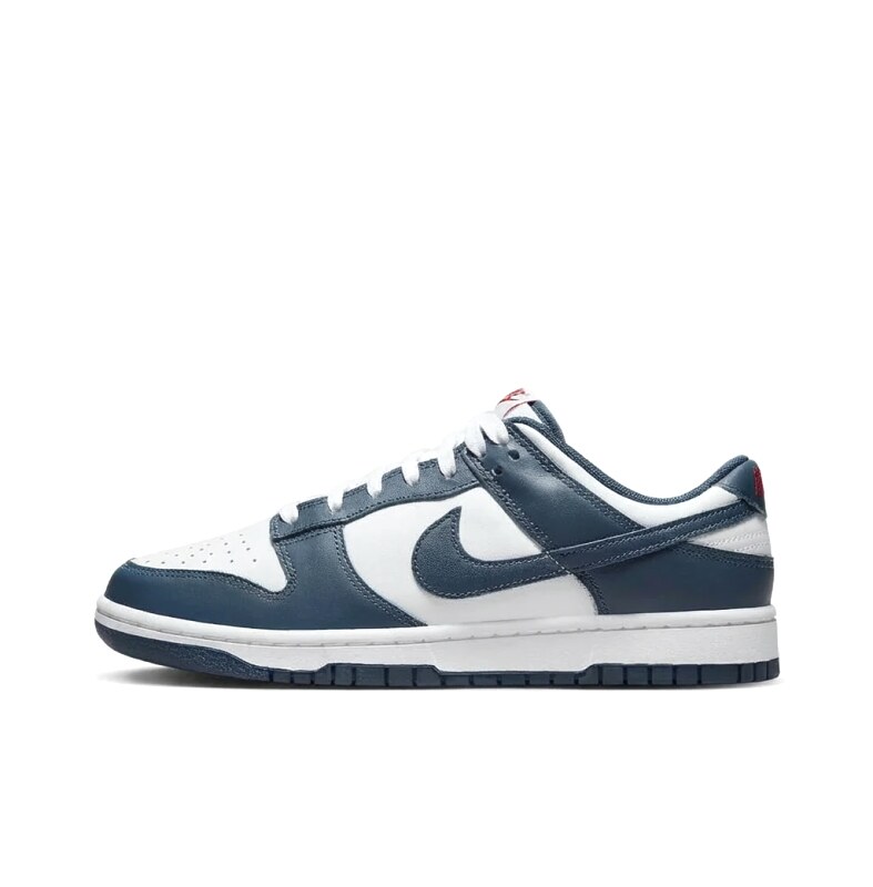 Nike Dunk Retro Style Blue and White Shoes