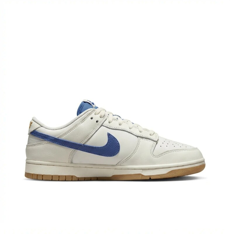 Nike Dunk Retro Style White and Blue Shoes
